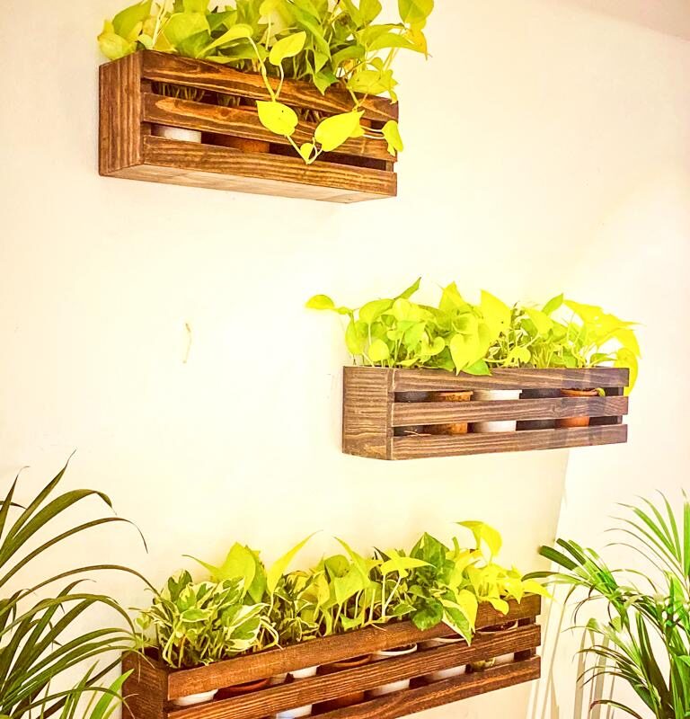 Wall Nest Planter